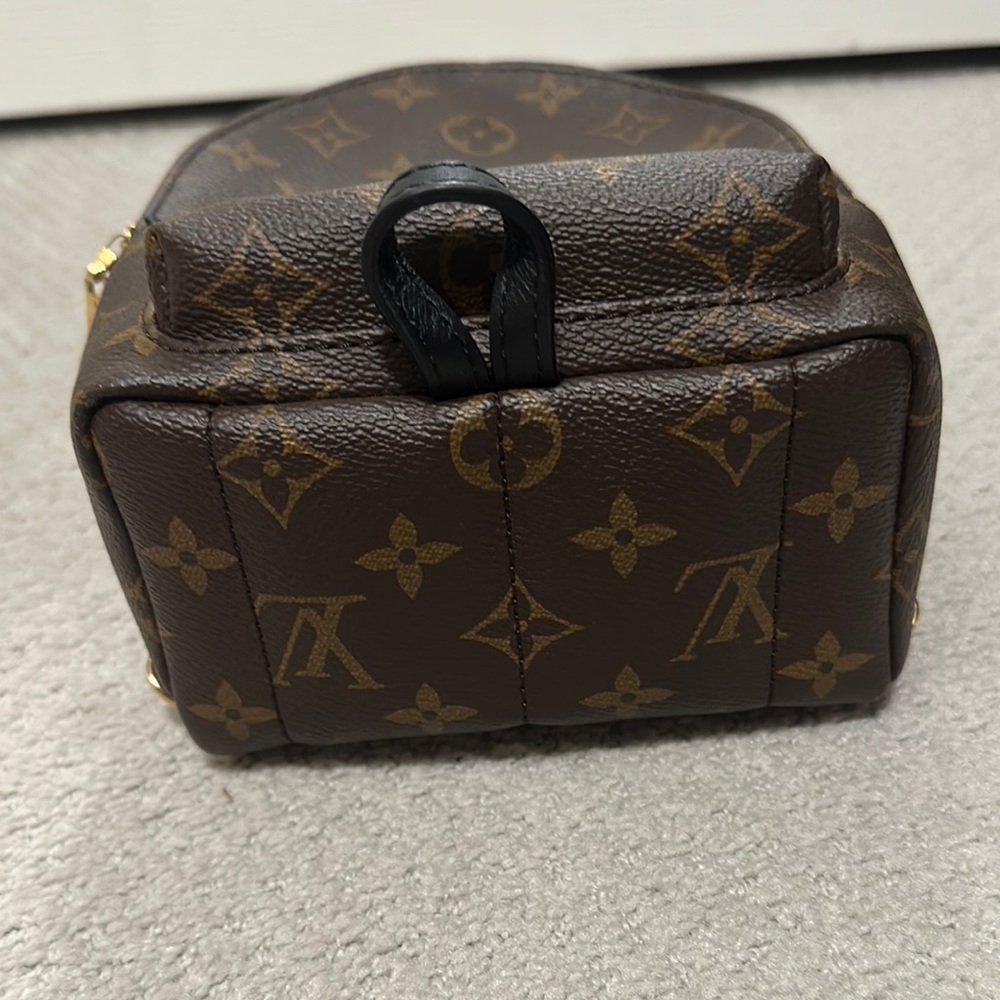 Louis Vuitton Monogram Palm Springs Mini Backpack - Picture 5 of 8